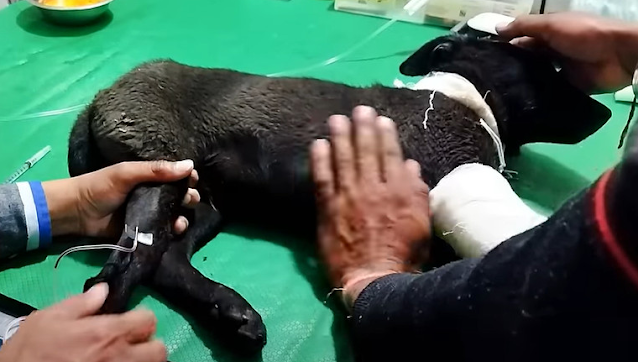 He underwent a complex surgery, and to e...