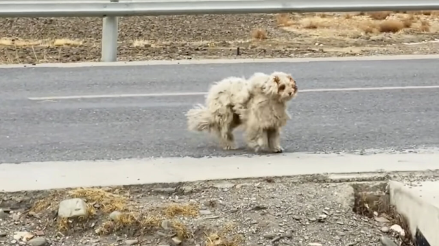 From her bag, she retrieved some food, w...