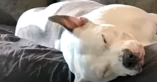 Extra image from article