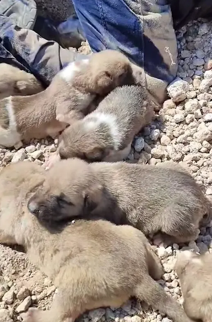 Over two hours of relentless effort, Son...