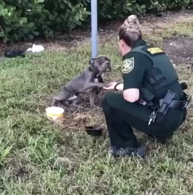 Extra image from article