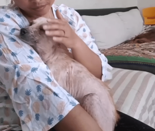 A month after her initial rescue, Hope s...