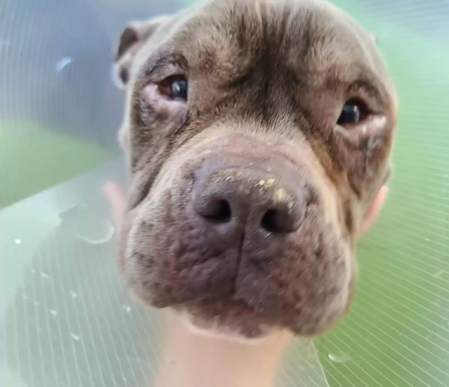 Extra image from article