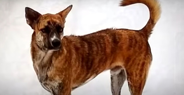 It was evident that he had been battling...