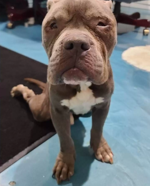 Extra image from article