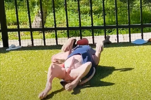 Today, Magnus thrives with a loving fami...