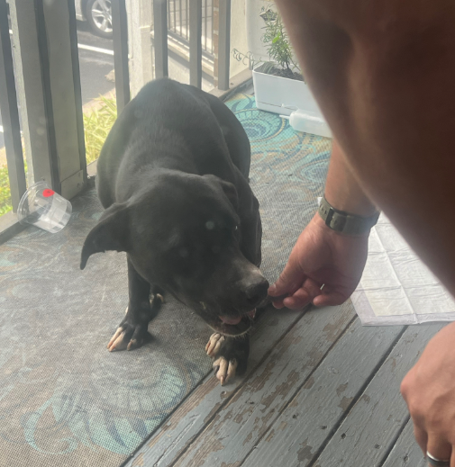 Extra image from article