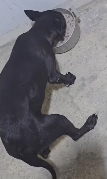 Extra image from article