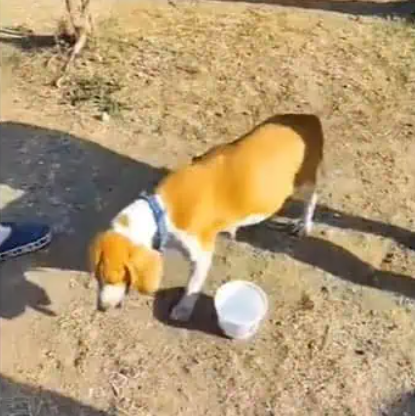 During her recovery, Nona’s sweet and ge...