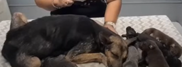 Even while suffering from her illnesses,...