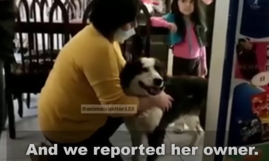 With her puppies thriving and no longer ...