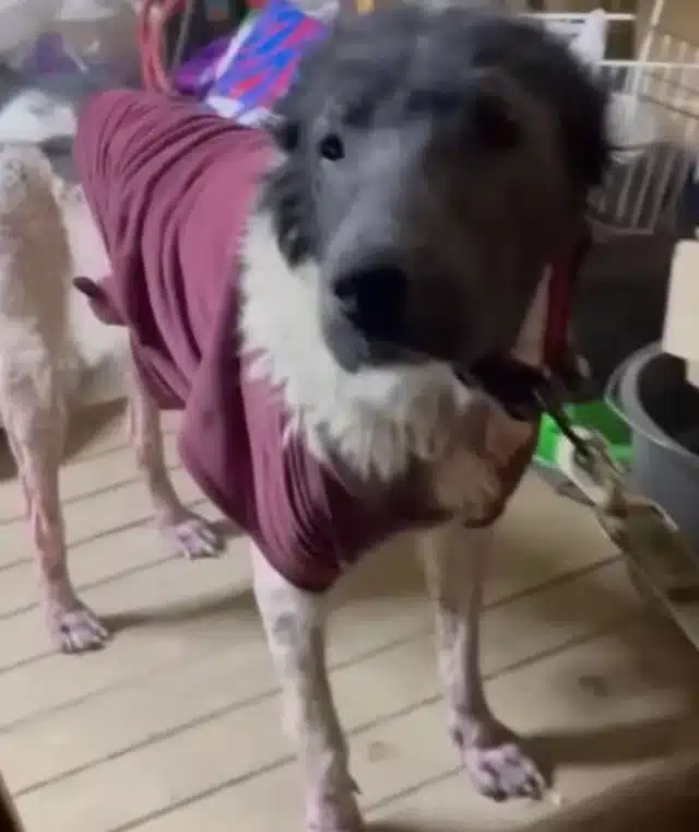 Now, Lunya is enjoying her fresh start. ...