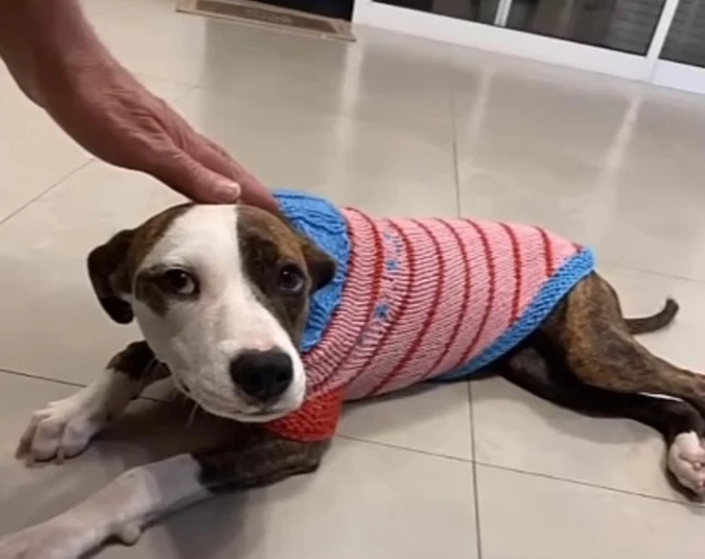 Extra image from article