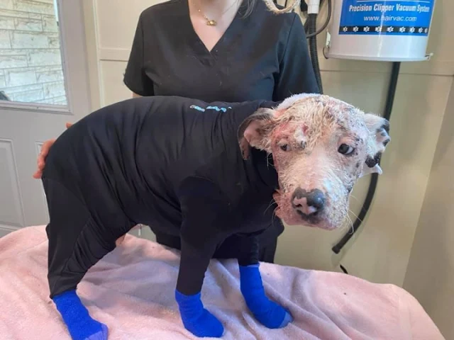 On the second day of his treatment, Sinc...