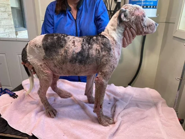 Ninety days after his rescue, Sinclair’s...