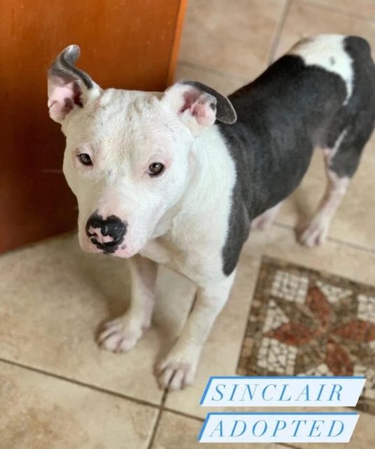 Extra image from article