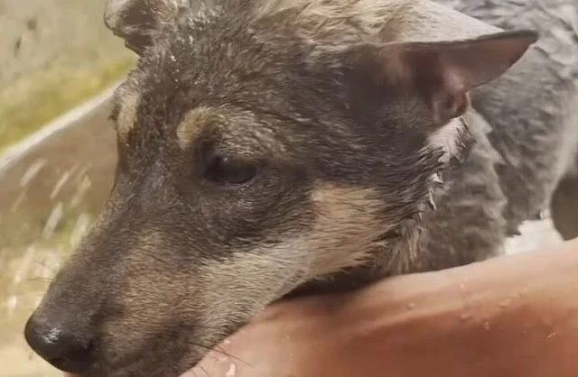 By spreading her story, there is hope th...