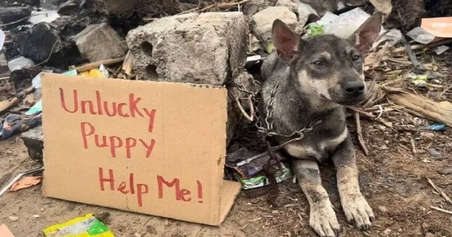 Members of the rescue team arrived promp...