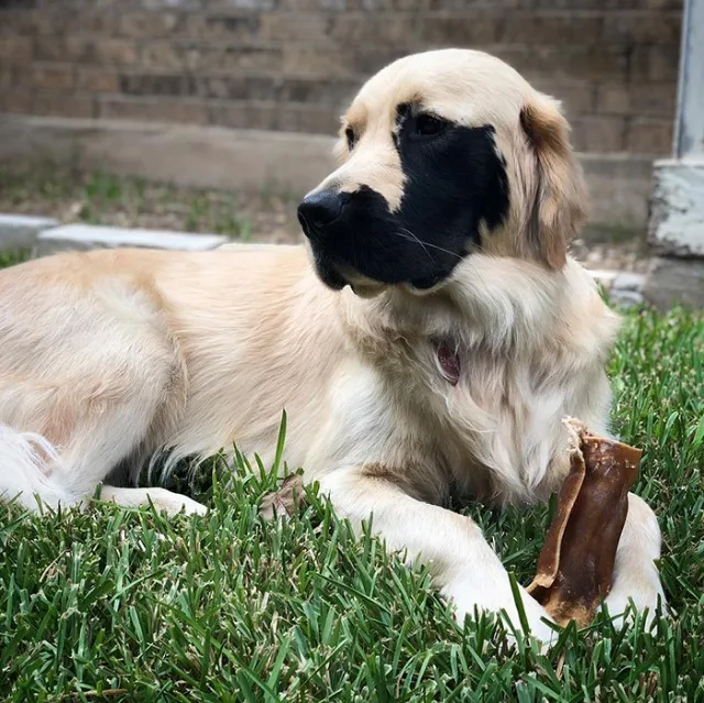 Extra image from article