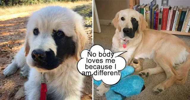 Enzo exudes the typical joyous and livel...