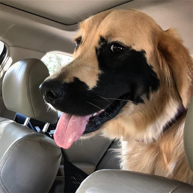 Extra image from article