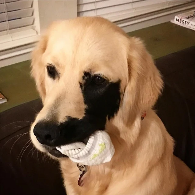 Extra image from article