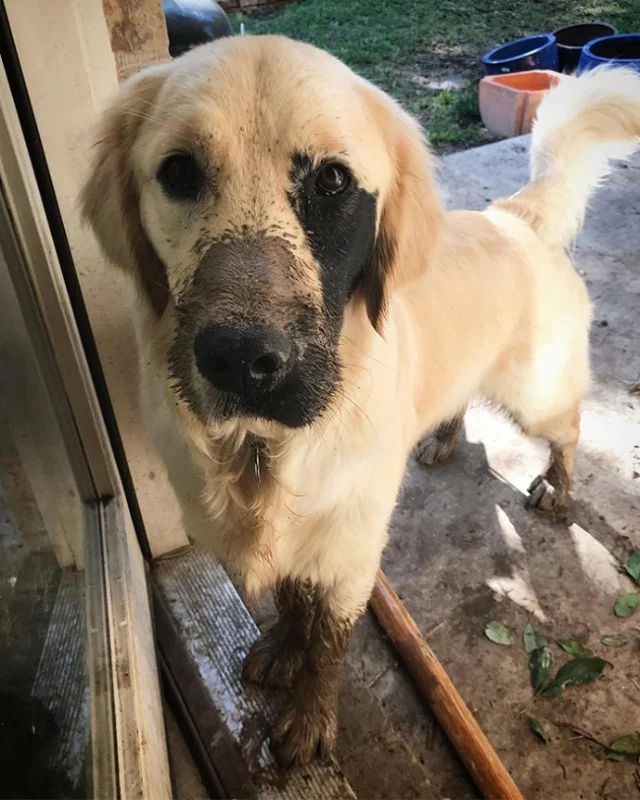 Extra image from article