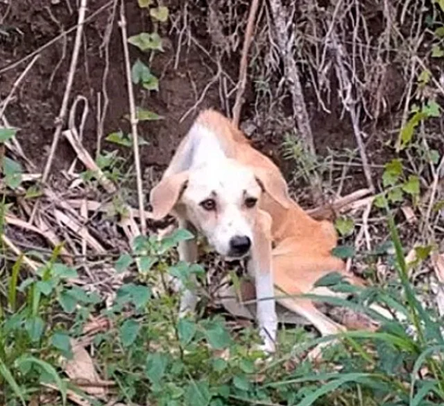 In addition to her health issues, Olivia...