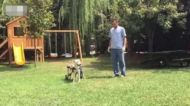 Extra image from article