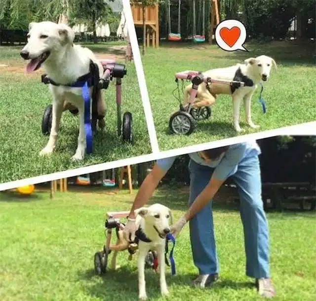 Extra image from article