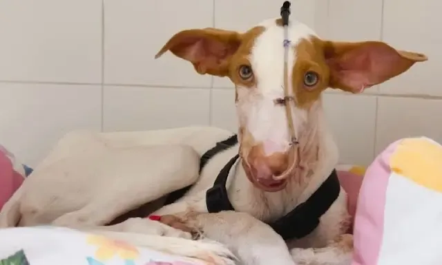 Now, Winston has moved into the Big Hous...