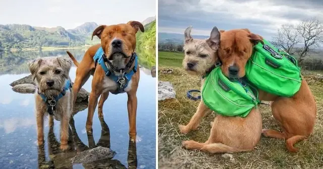 Jess was initially concerned about how h...