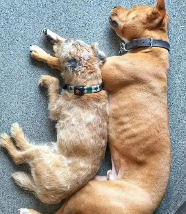 Initially, Amos was nervous about going ...