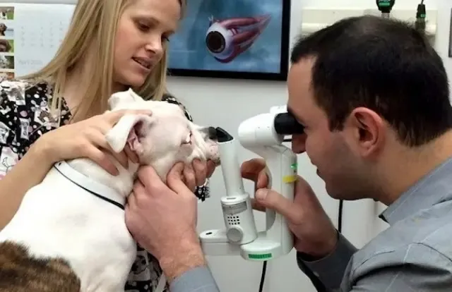 Extra image from article