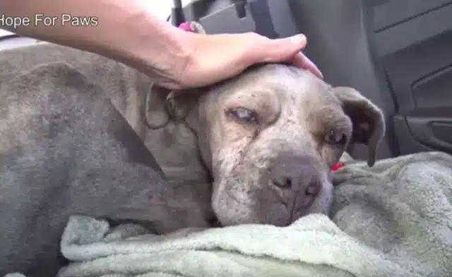 Extra image from article