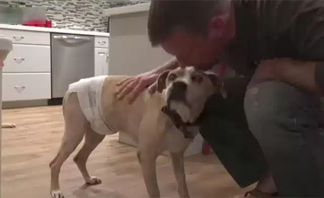 Extra image from article