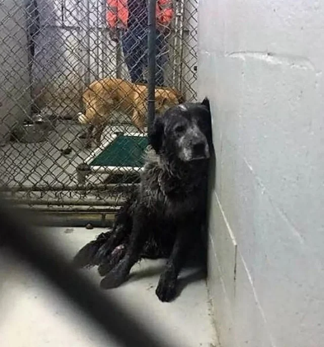 Initially, Sanford was taken to a small ...