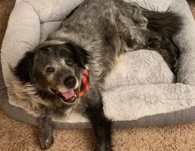 Extra image from article