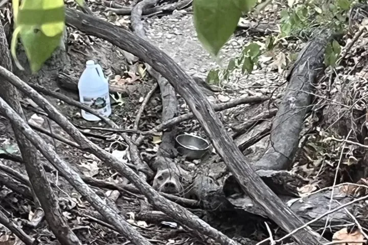 After enduring three weeks alone in the ...