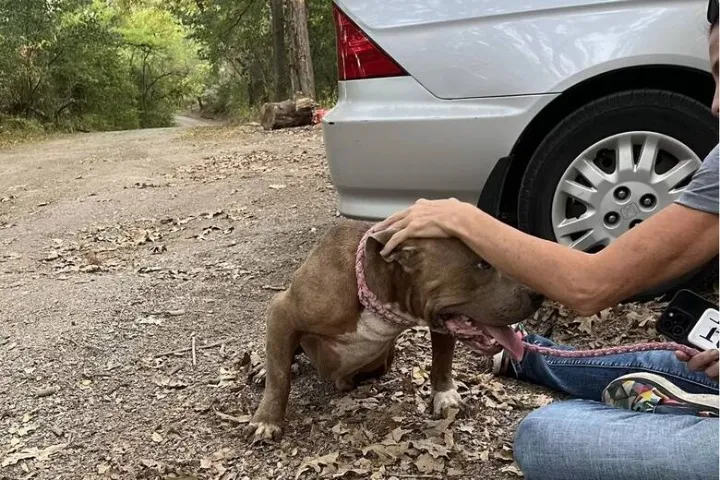 Extra image from article