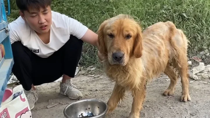 Thank you for reading and sharing this s...