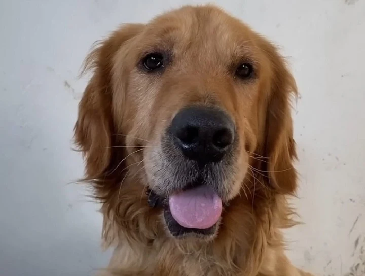 Extra image from article