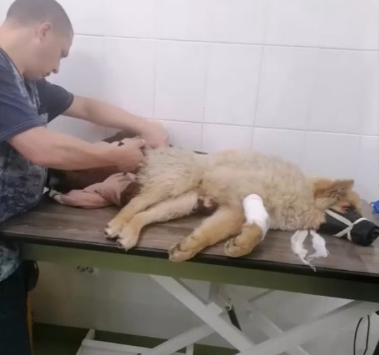 Extra image from article