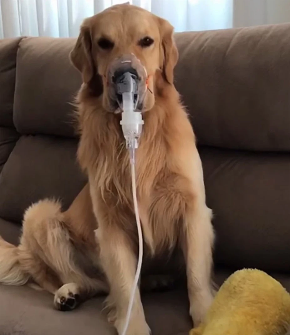 Thanks to their love and care, Fred was ...