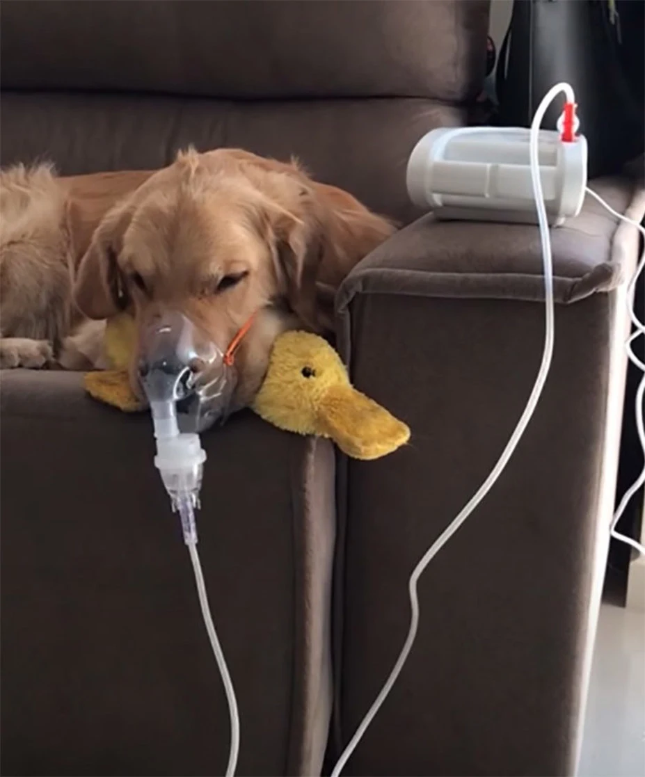 Extra image from article