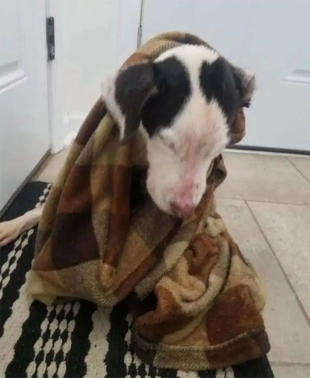 Extra image from article