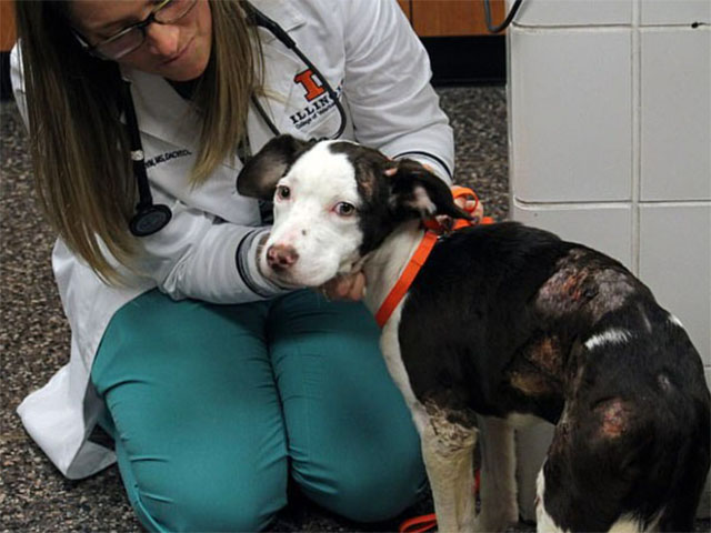 Extra image from article