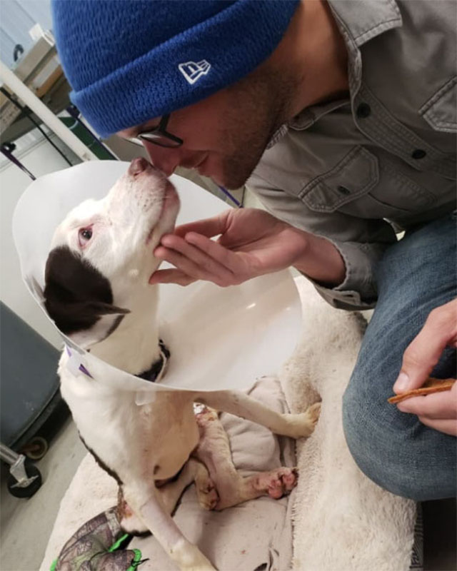 Extra image from article