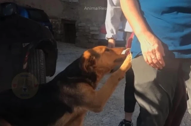 Extra image from article