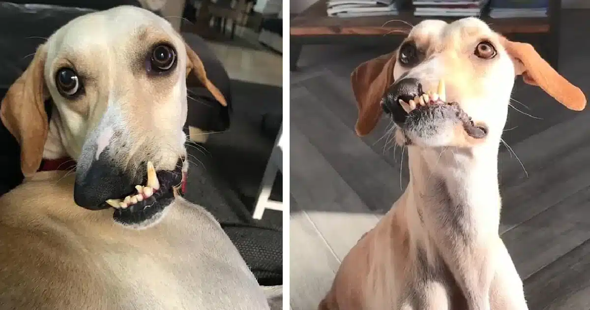 Despite some negative perceptions of Ala...